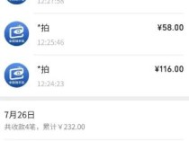 违章拍照项目：是发财秘籍还是骗局陷阱？