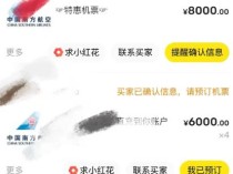 代买打折机票，一单利润100+的套路